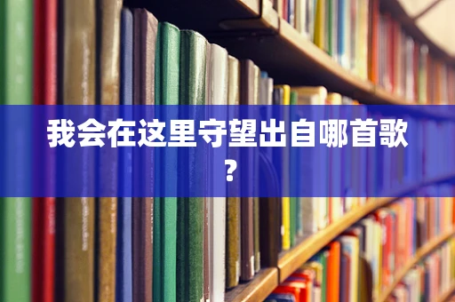 我会在这里守望出自哪首歌？