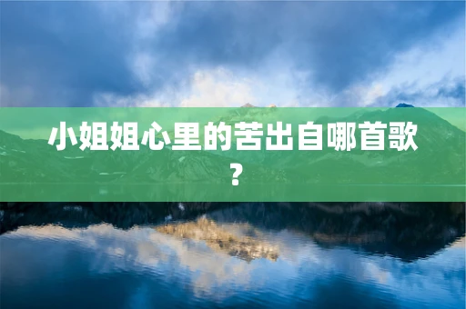 小姐姐心里的苦出自哪首歌？