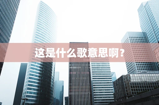 这是什么歌意思啊？