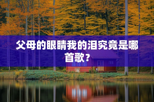 父母的眼睛我的泪究竟是哪首歌？
