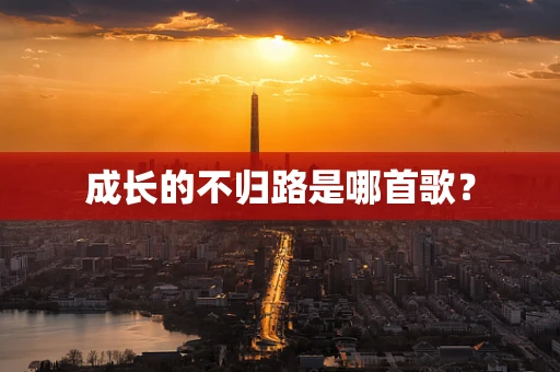 成长的不归路是哪首歌？
