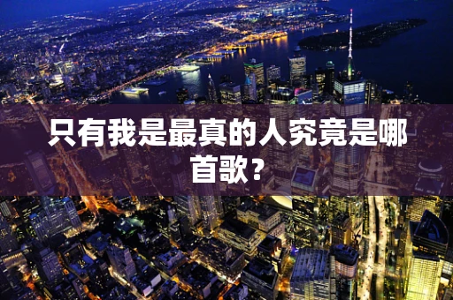只有我是最真的人究竟是哪首歌？