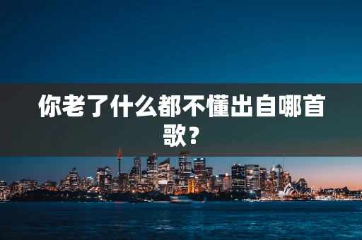 你老了什么都不懂出自哪首歌？