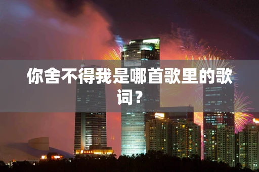 你舍不得我是哪首歌里的歌词？