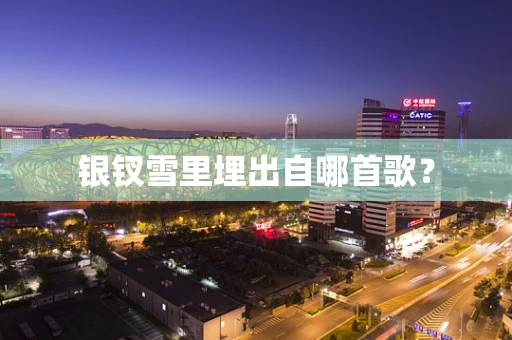 银钗雪里埋出自哪首歌？