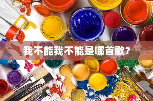 我不能我不能是哪首歌？