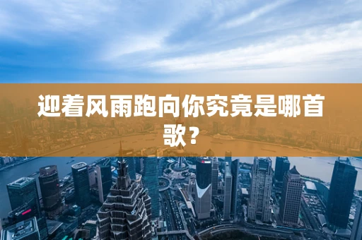 迎着风雨跑向你究竟是哪首歌？