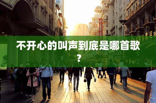 不开心的叫声到底是哪首歌？