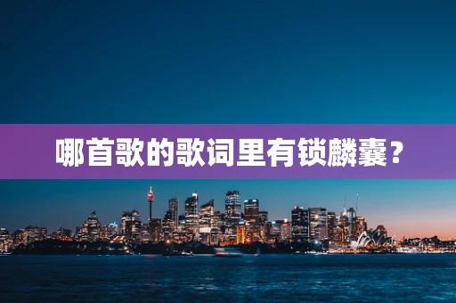 哪首歌的歌词里有锁麟囊？