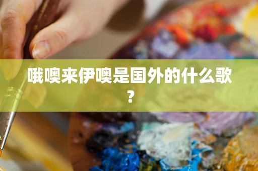 哦噢来伊噢是国外的什么歌？