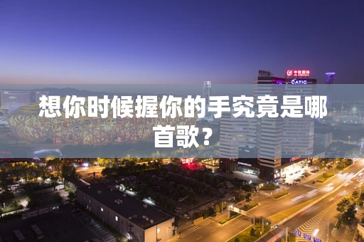 想你时候握你的手究竟是哪首歌？