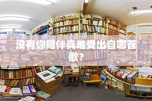 没有你陪伴真难受出自哪首歌？