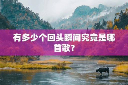 有多少个回头瞬间究竟是哪首歌？