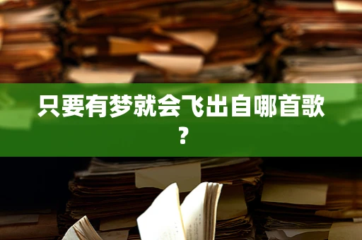 只要有梦就会飞出自哪首歌？