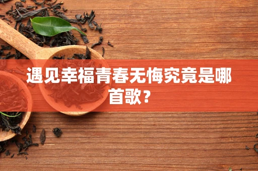 遇见幸福青春无悔究竟是哪首歌？