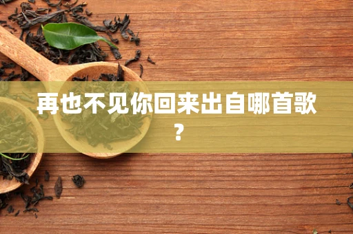 再也不见你回来出自哪首歌？