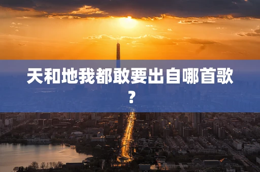 天和地我都敢要出自哪首歌？