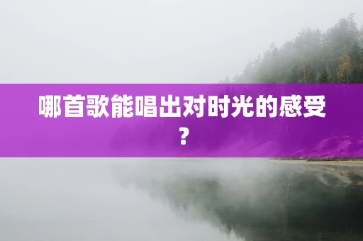哪首歌能唱出对时光的感受？