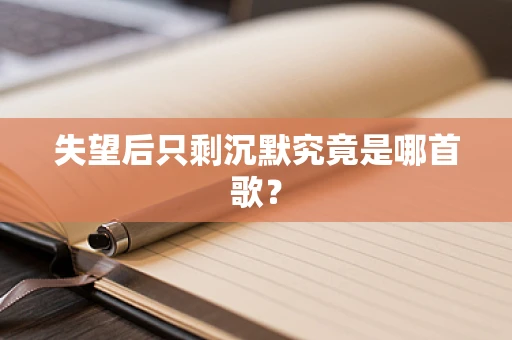 失望后只剩沉默究竟是哪首歌？