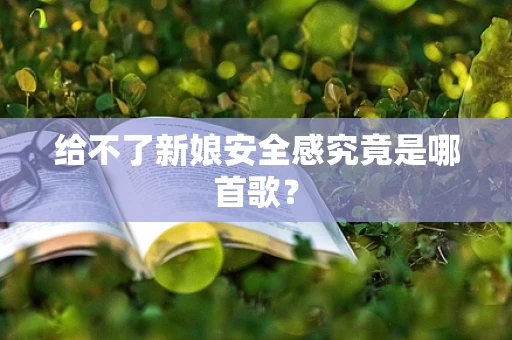 给不了新娘安全感究竟是哪首歌？