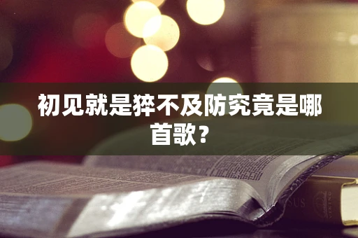初见就是猝不及防究竟是哪首歌？