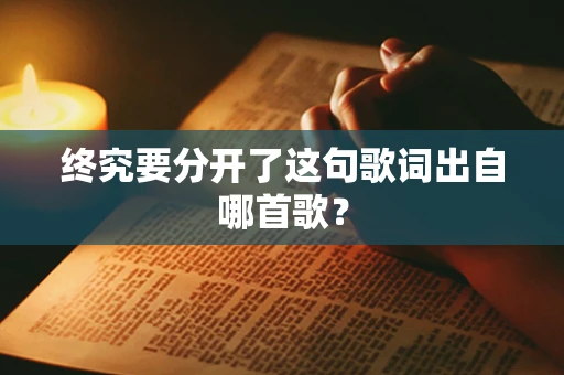 终究要分开了这句歌词出自哪首歌？