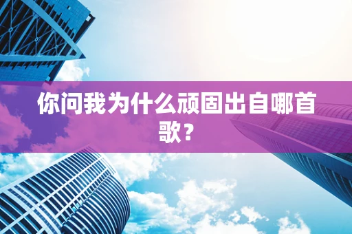 你问我为什么顽固出自哪首歌？