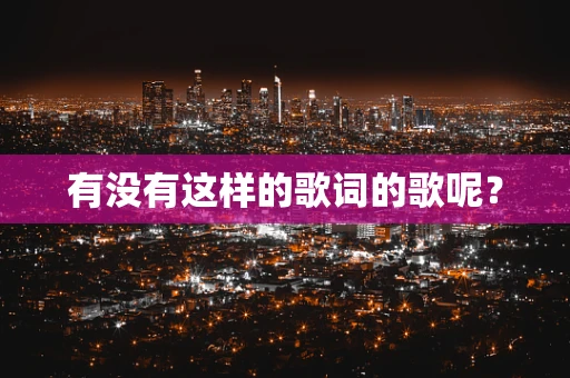 有没有这样的歌词的歌呢？