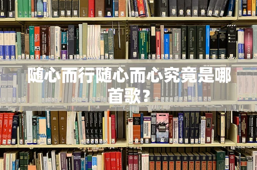 随心而行随心而心究竟是哪首歌？