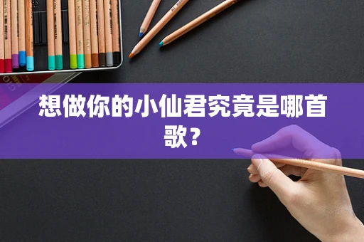 想做你的小仙君究竟是哪首歌？