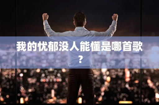 我的忧郁没人能懂是哪首歌？