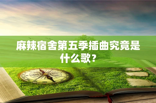 麻辣宿舍第五季插曲究竟是什么歌？