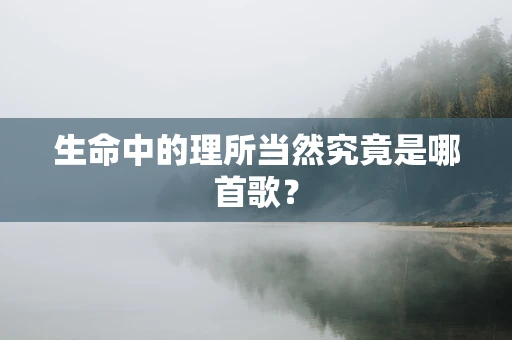 生命中的理所当然究竟是哪首歌？