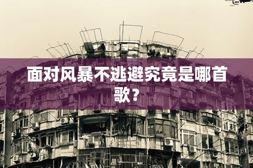 面对风暴不逃避究竟是哪首歌？