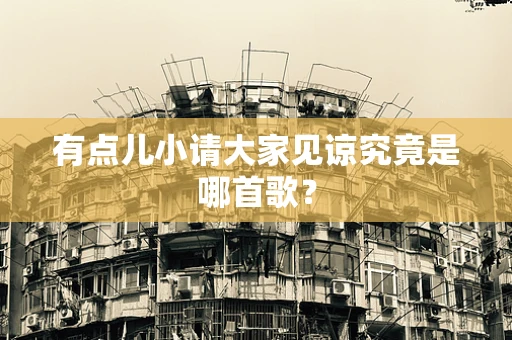 有点儿小请大家见谅究竟是哪首歌？