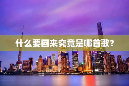 什么要回来究竟是哪首歌？