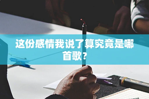 这份感情我说了算究竟是哪首歌？