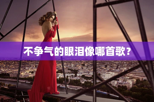 不争气的眼泪像哪首歌？