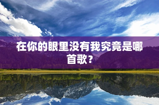 在你的眼里没有我究竟是哪首歌？