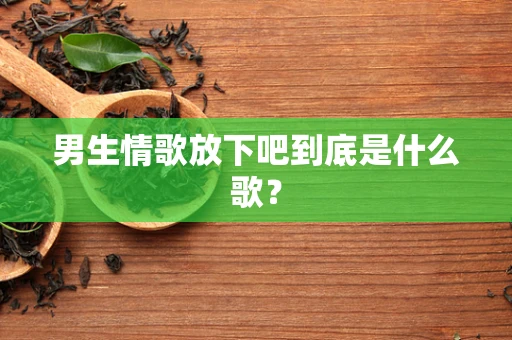 男生情歌放下吧到底是什么歌？