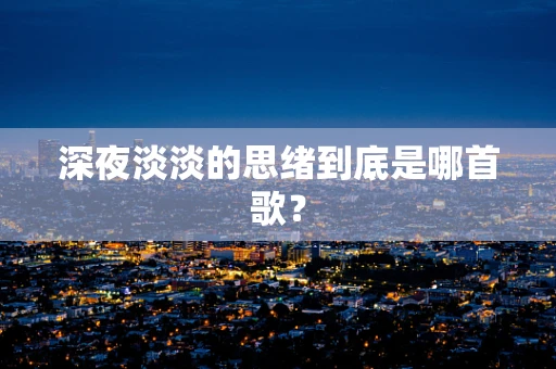 深夜淡淡的思绪到底是哪首歌？