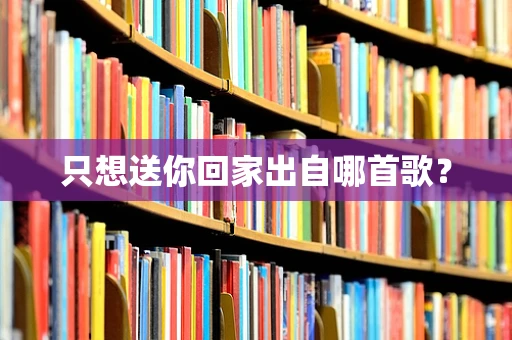 只想送你回家出自哪首歌？
