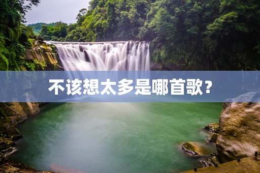 不该想太多是哪首歌？