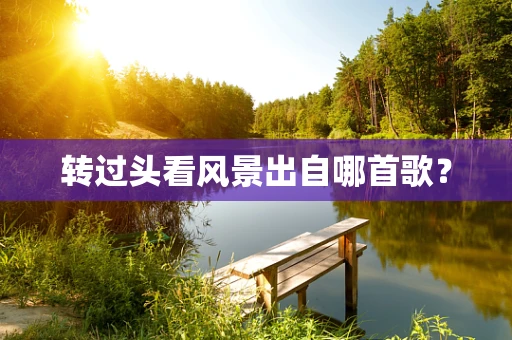 转过头看风景出自哪首歌？