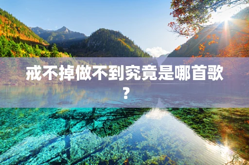 戒不掉做不到究竟是哪首歌？
