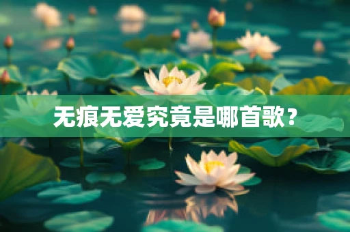 无痕无爱究竟是哪首歌？