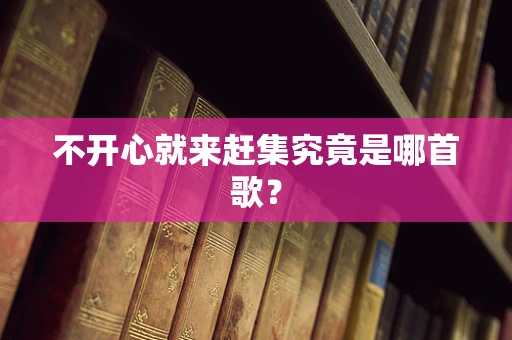 不开心就来赶集究竟是哪首歌？