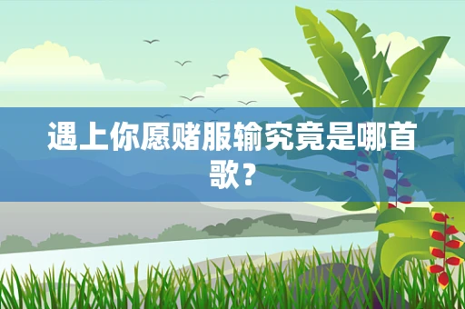 遇上你愿赌服输究竟是哪首歌？