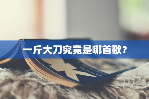 一斤大刀究竟是哪首歌？
