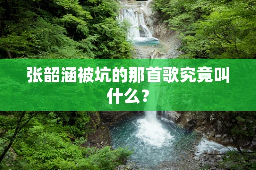 张韶涵被坑的那首歌究竟叫什么？